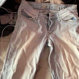 Levi’s demon curve